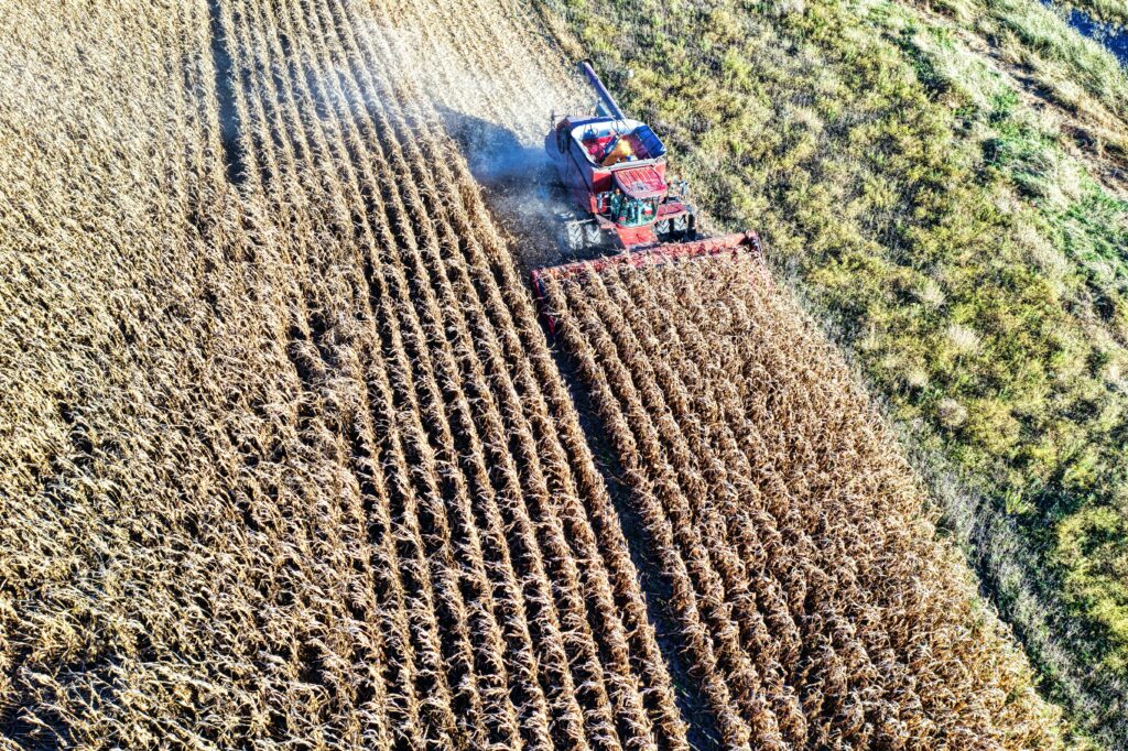 An aerial view of a red combine harvester working in a cornfield during fall harvest.